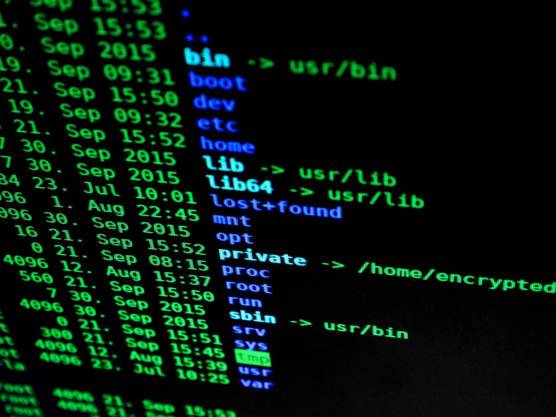 Linux 每个目录到底是干什么的